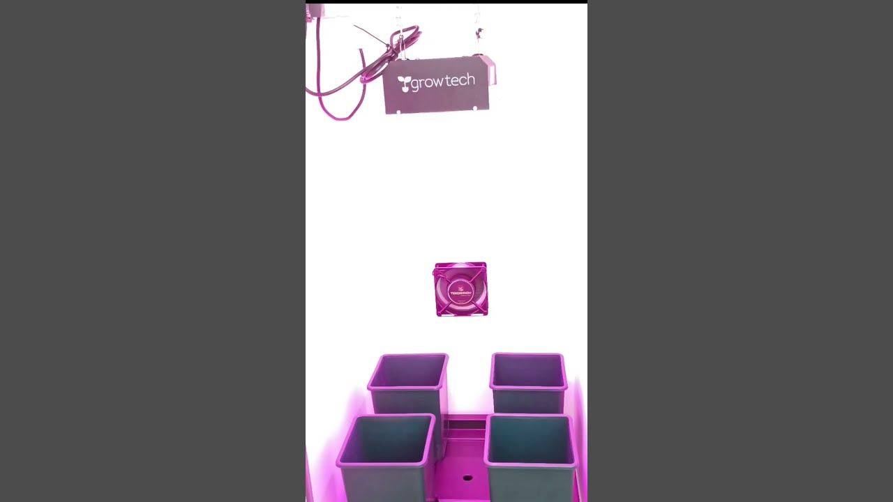 Armarios para Cultivo Indoor 