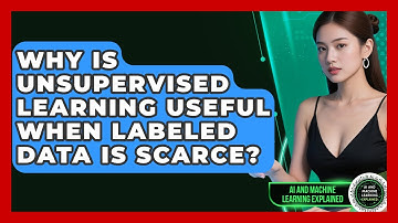 Why Is Unsupervised Learning Useful When Labeled Data Is Scarce?