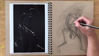 Skelly Assignment part 2