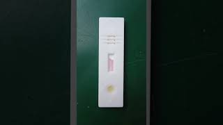 Pregnancy test kit babymorning urine