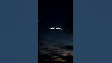 #لا_تحزن_ان_الله_معنا🌿#سورة_التوبة #قرآن #آيات #المصحف #اكسبلور
