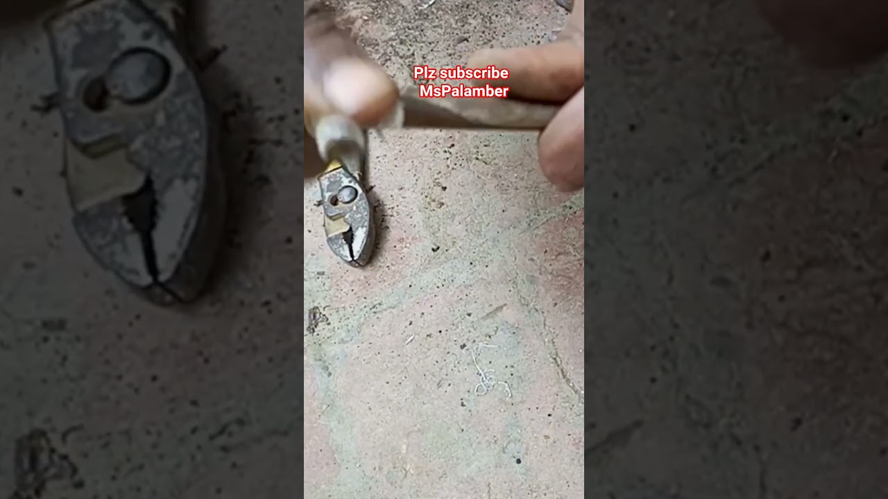 new short video Ms palamber