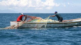 Pesca Artesanal en el Golfo de Urabá - TvAgro por Juan Gonzalo Angel