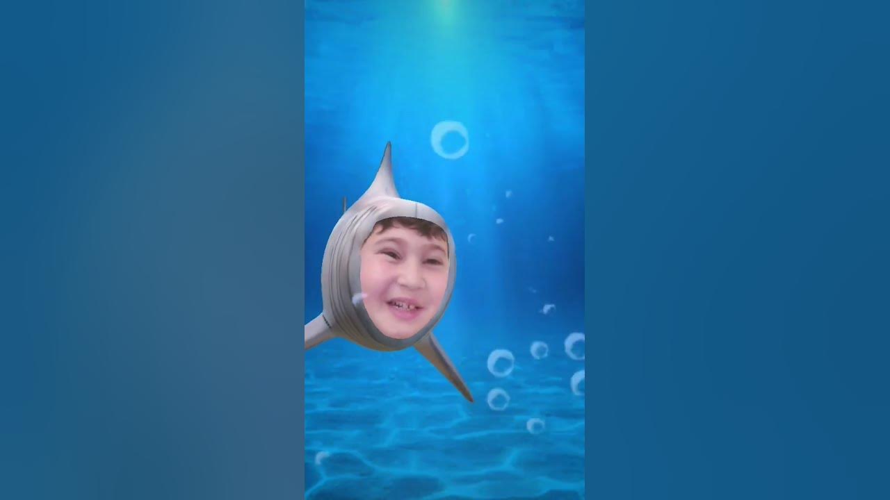 #Акула Египетська😁 - YouTube