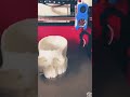 Skull candy bowl, 12 hrs later…