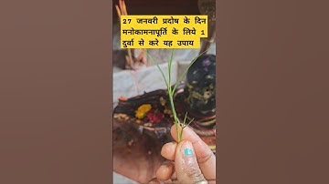 27 जनवरी प्रदोष के दिन 1 दुर्वा से करे यह उपाय #pardos #upay #trending #shiv #shorts #viralvideo