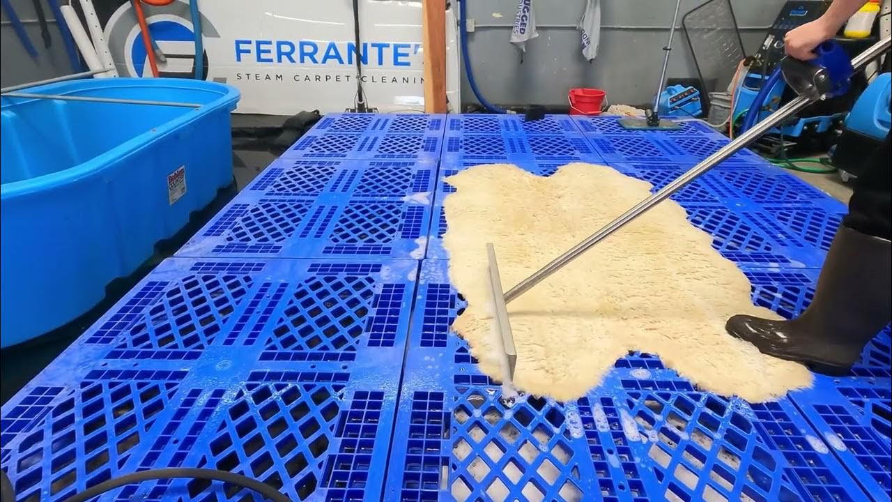 Sheepskin Rug Washing 🐑 Full Video asmr rugwashing sheepskin 