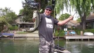 Missing Topwater Frog Strikes? IF's Quick Tips!
