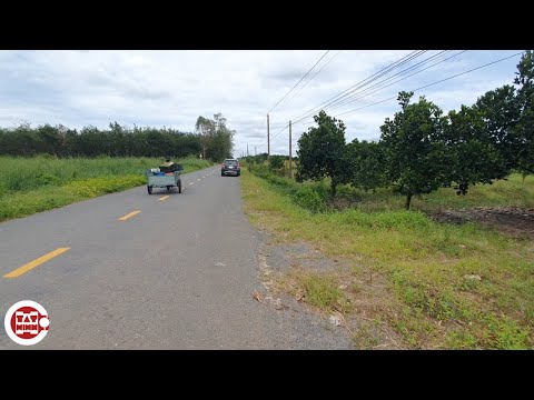 Video Bán đất hơn 4000m2 đã tách 2 sổ 2 mặt tiền đường nhựa... - youtube