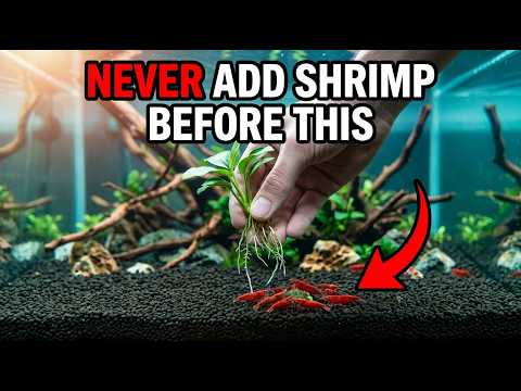 7 Setup Mistakes That Kill Shrimp Fast