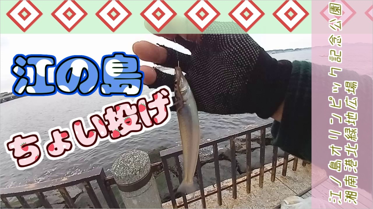 江ノ島でチョイ投げ釣り【2026年4月末】 - YouTube