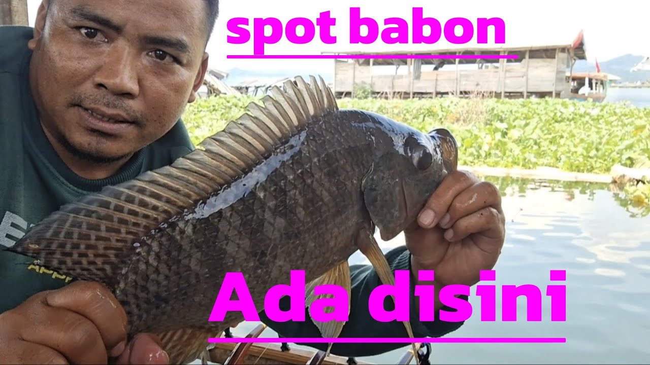 MANCING DI GONGGO IKANNYA BESAR BESAR//MANCING CIRATA TERBARU