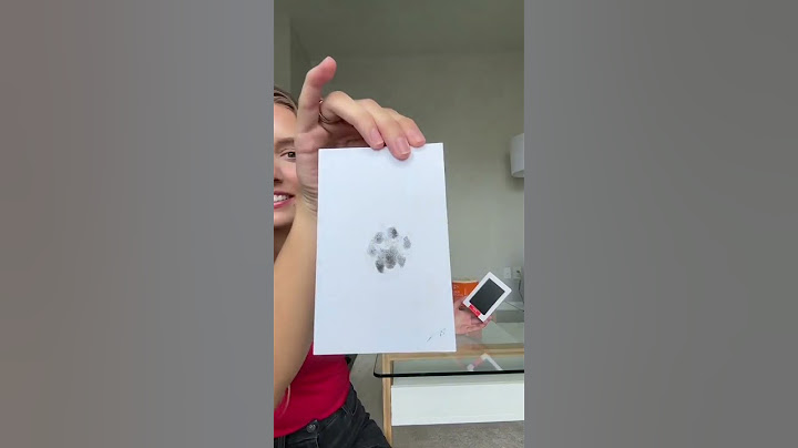 Getting a Tattoo of My Cat’s Paw Print