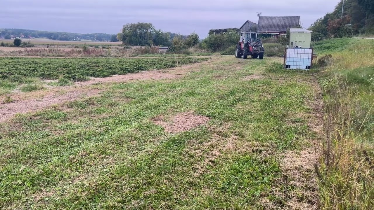 Traktor MASSEY FERGUSON MF 675