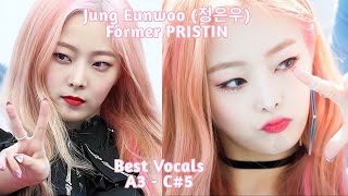 [BEST VOCALS] JUNG EUNWOO (Former Pristin/Hinapia) BEST VOCALS // 정은우(前 프리스틴/희나피아) 베스트 보컬 (A3 - C#5)