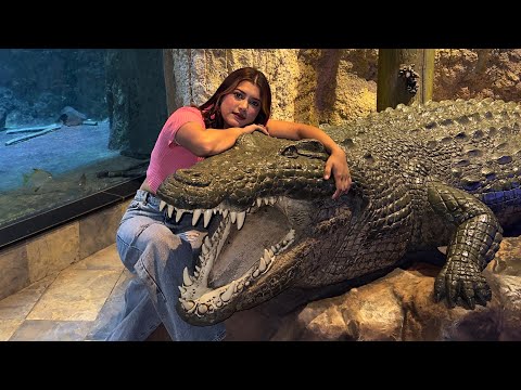 Dubai aquarium 🦈🪼 ||zoya sheikh