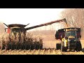 Corn Harvest 2020 | Case IH 8240 Axial Flow Combine Harvesting Corn | Ontario, Canada