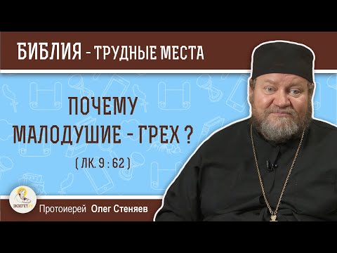 Почему малодушие - грех ? (Лк. 9:62) Протоиерей Олег Стеняев