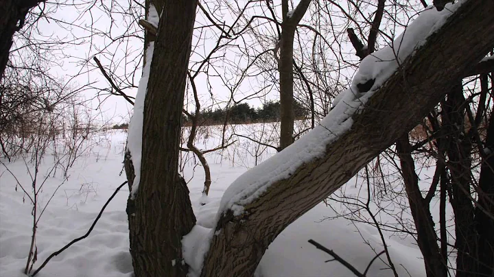 Anne Bartley Smith Property