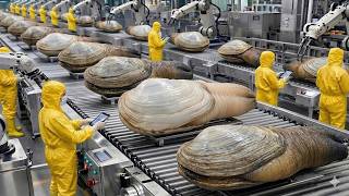 GIANT GEODUCK Processing in Factory - Amazing Automated System!