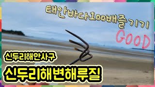 충남 태안추천 여행지 심두리해안사구와 신두리해안해루질