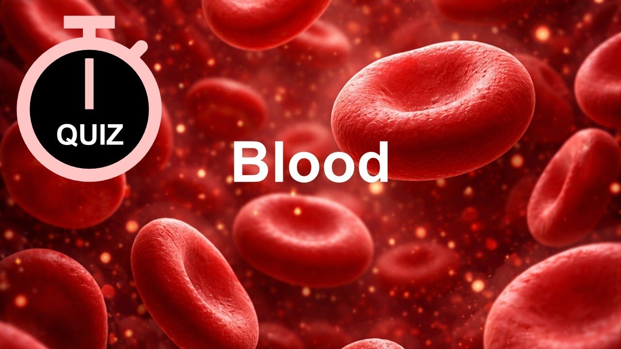 Quiz! MCQs - Blood Part 1