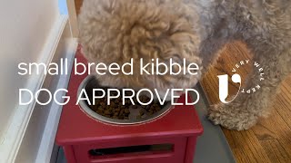 Review: Blue Buffalo Senior Small Breed Dog Food Review - dog tested!
