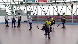 U16 Piacenza Gufi Vs Forli U16 Piacenza Gufi Vs Forli