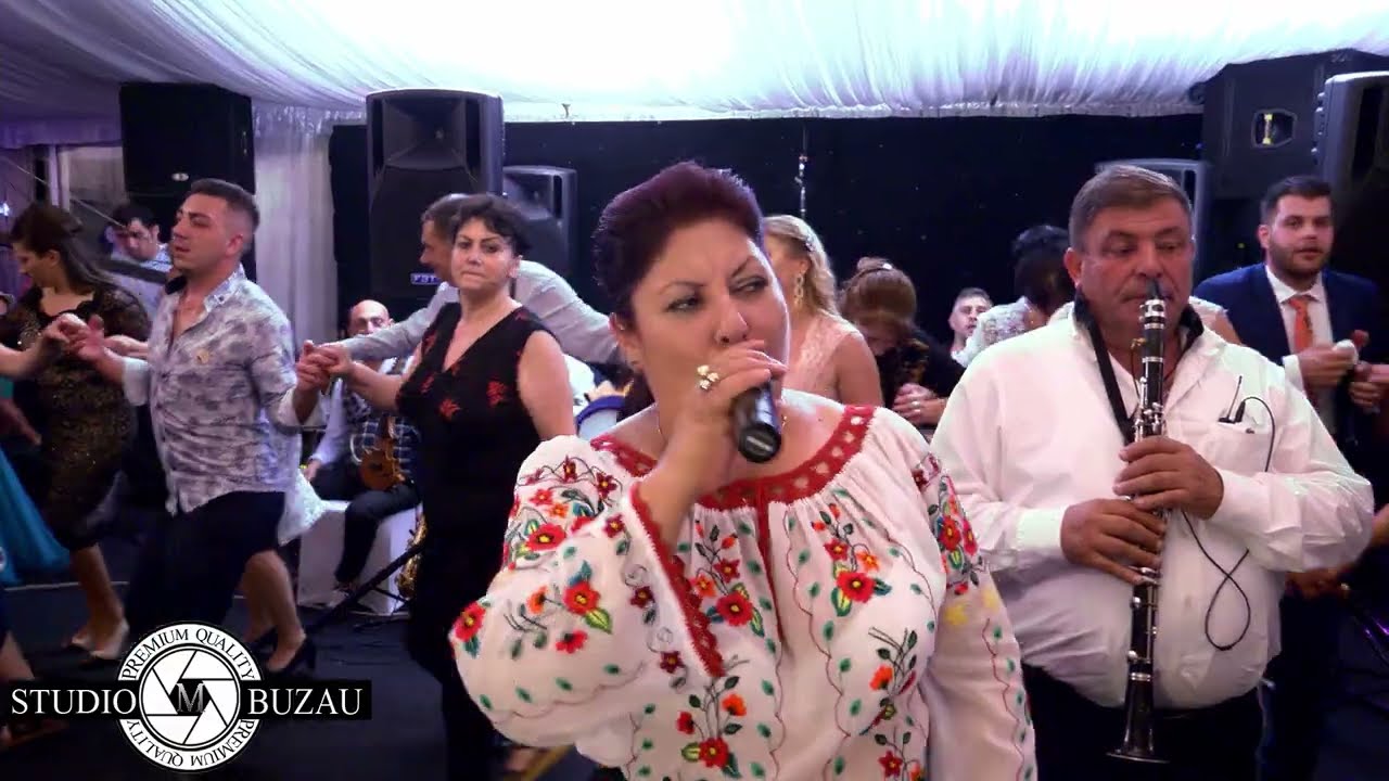 Crina si Dan Coreanu  ❌❌❌ Nunta la Campina - Colaj Sarbe SUPERB