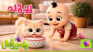 പചച - Poocha Cat Song Malayalam Nursery Rhymes Kids Songs Elefaanty Malayalam