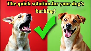 Before you punish your dog for barking 🐶  A method to stop dog barking without yelling