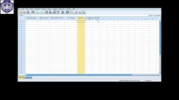 Tugas Input Data SPSS