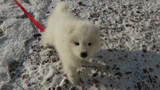 Casper's First Snow Day