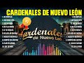 Cardenales de Nuevo León ~ Super Seleção Grandes Sucessos