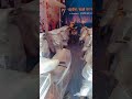 Electric scooty  ego