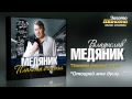 Владислав Медяник - Отогрей мне душу (Audio)