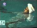 فرقة البالمبو شع الشعاع 