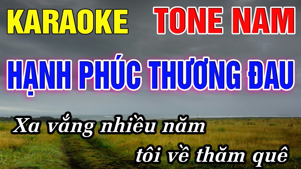 Hạnh Phúc Thương Đau Karaoke Tone Nam Karaoke Đức Duy - Beat 2026