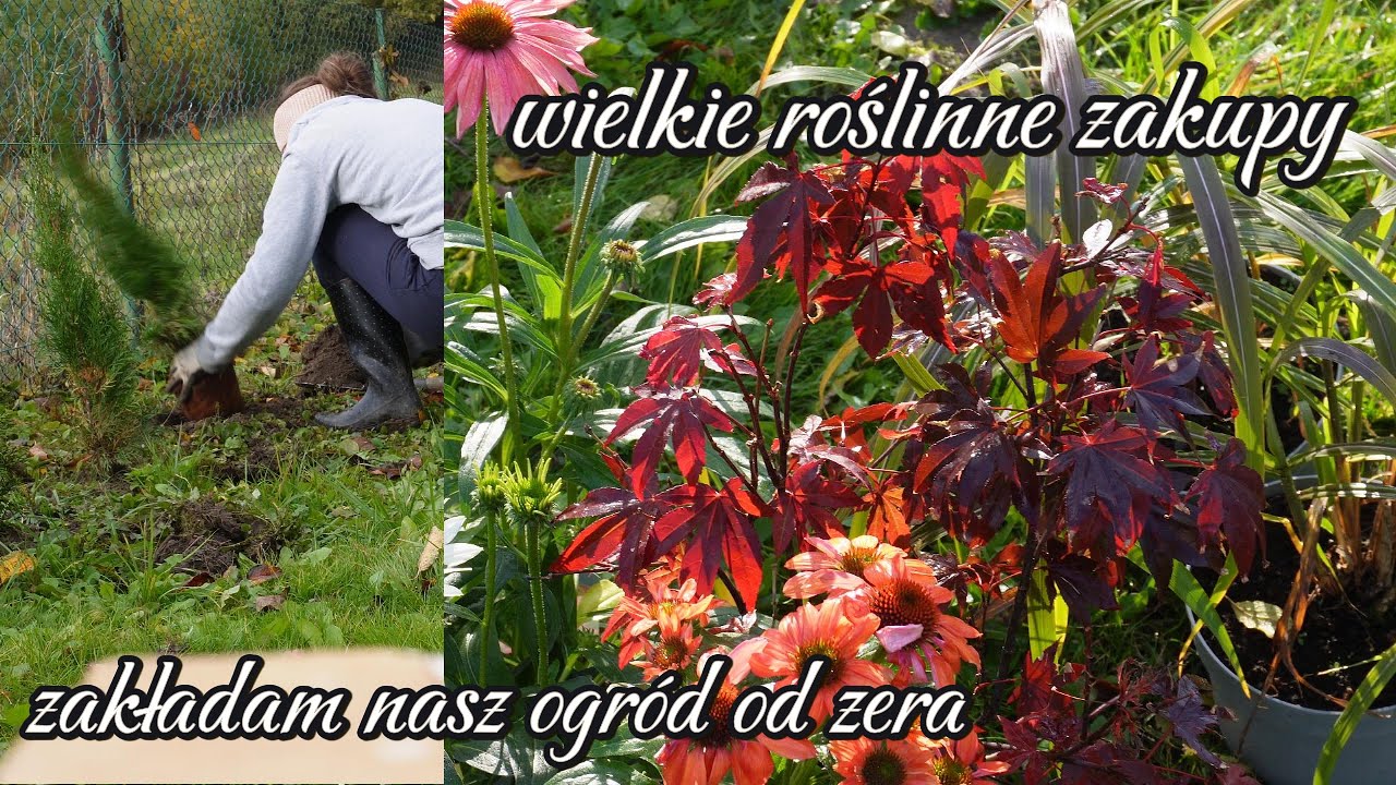 🌿Jak buduje swój ogród krok po kroku? Tak żeby nie zbankrutować! - Kami🏡