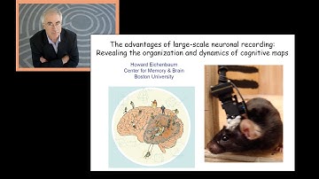 SFN 2015: Dr. Howard Eichenbaum Keynote Talk