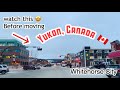 Yukon, Canada | Must know this before going to Yukon + Driving around Whitehorse city in Winter time