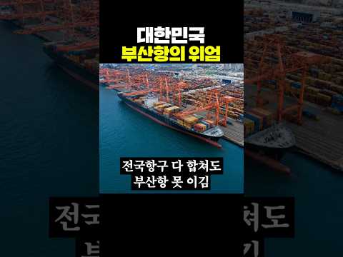 대한민국 부산항의 <strong>위엄</strong>