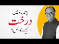 How To Plant A Tree by Rehan Allahwala | Plant Tree For A Clean And Green Pakistan