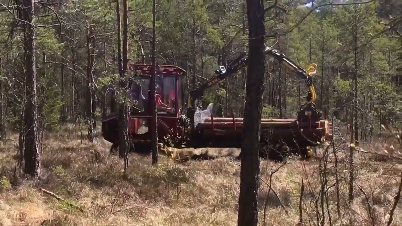 Alstor Mini Forwarder working on soft ground