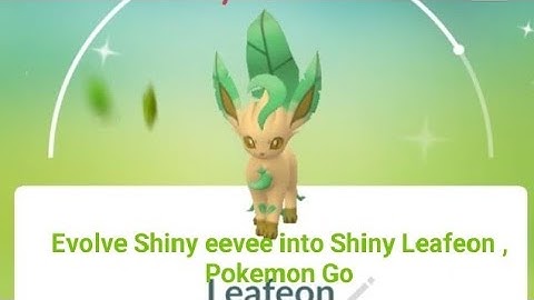 Evolve Shiny eevee into Shiny Leafeon , Pokemon Go