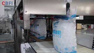 Automatic Ice Packing Machine Introduction Resimi