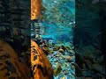 #Beautifulnature