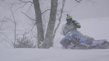 SLEDHEAD 24-7: Polaris 800 Assult 144