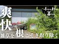 【激変】草と土を取り除いたら超スッキリしました#47 When I removed the grass and soil, it was super refreshing. 防災 EcoFlow