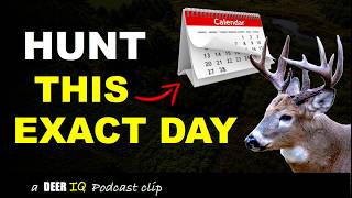 Study Reveals Highest-Odds Day for Public Land Deer Hunters!
